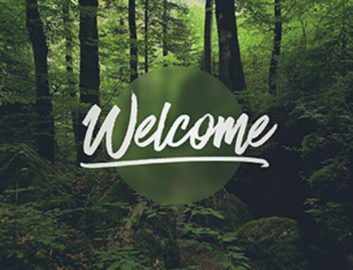 Welcome to our website!