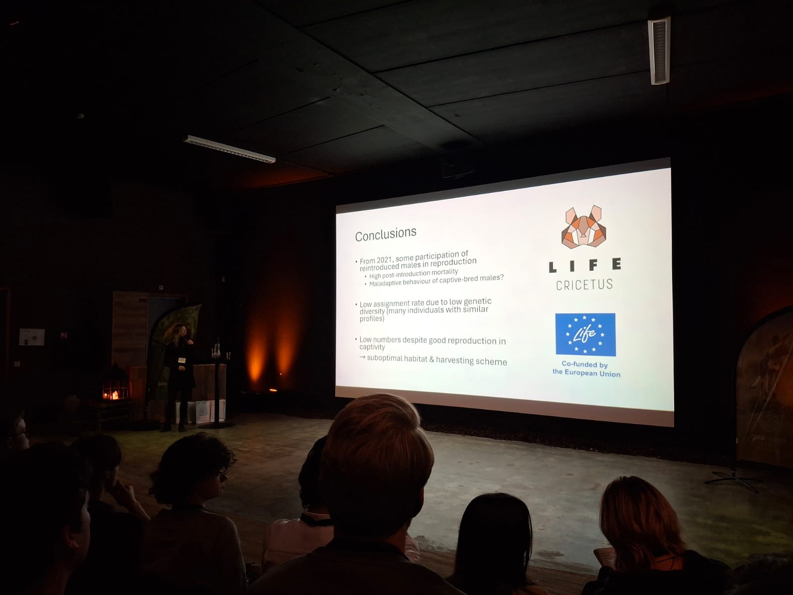 WhatsApp Image 2025-11-28 at 22.29.54