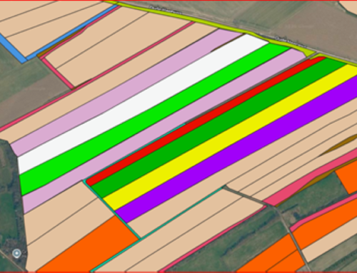 Piecing together a hamster-friendly cropping plan
